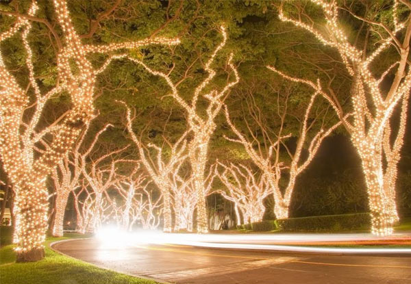 $10 for a 15m String of 50 LED Water-Resistant Solar Powered Fairy Lights with Eight Mood Creation Functions or $18 for a 25m String of 100 LED Lights