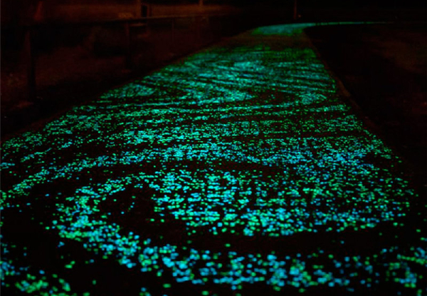 100 Glow-in-The-Dark Pebbles - Six Colours Available with Free Delivery