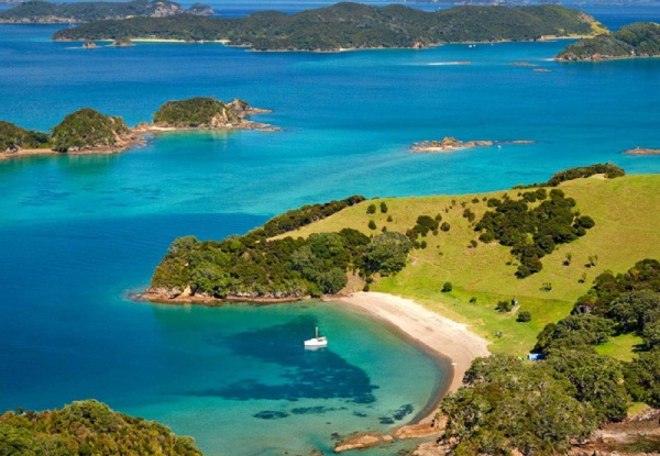 Bay of Islands Full Day Tour from Auckland incl. Hole in the Rock Cruise & Waitangi Treaty Grounds Tour for One Adult - Option for Child