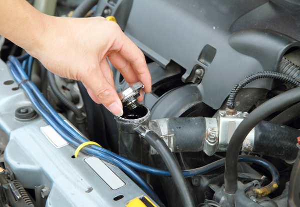 Oil & Filter Change incl. a WOF Package for Standard Four-Cylinder Vehicles