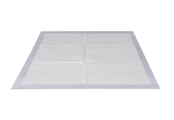 PaWz Pet Super Absorbent Potty Pee Mat - Three Options Available