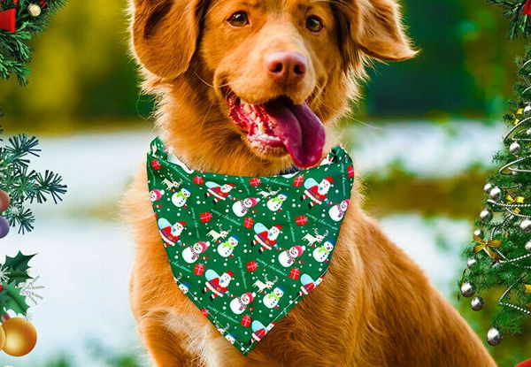 Two-Pack Pet Christmas Bandana - Five Styles Available