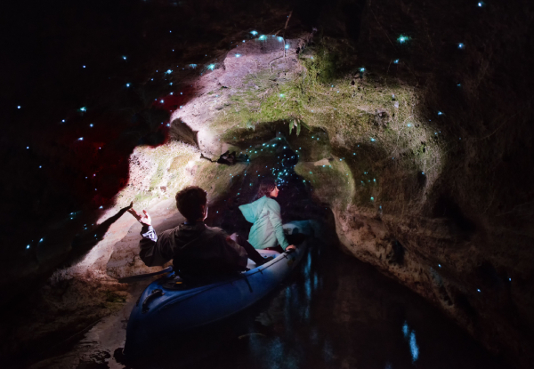 Twilight Kayak Glow Worm Tour for One - Options Two or Four People