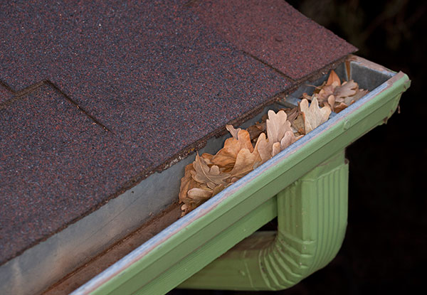 From $89 for a Gutter Clean, Flush & Roof Inspection with Installation of a Free Gutter Guard on All Down Pipes (value up to $350)