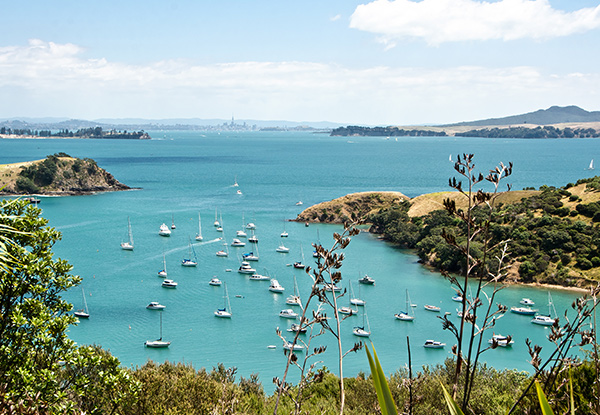 $49 for a Half Day Waiheke Wine Tour for One Person