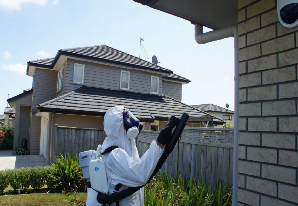 Full Exterior House Wash incl. Exterior Window Clean, Gutter Clean, Roof Treatment & Outside Spider Control