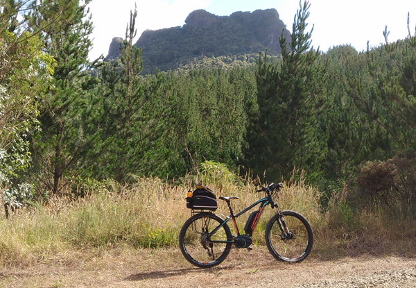 Half-Day Electric Bike Hire in the Beautiful Coromandel