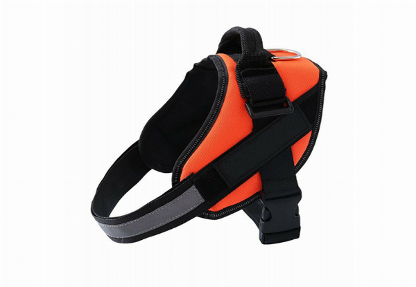 Adjustable Dog Harness - Six Colours & Six Sizes Available