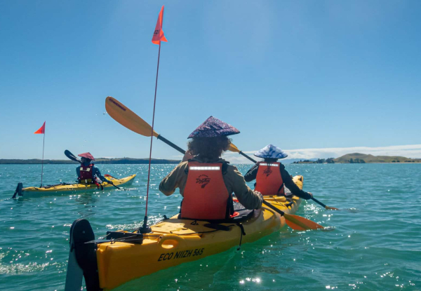 Browns Island Motukorea Sea Kayak Tour For One Adult - Option for Child