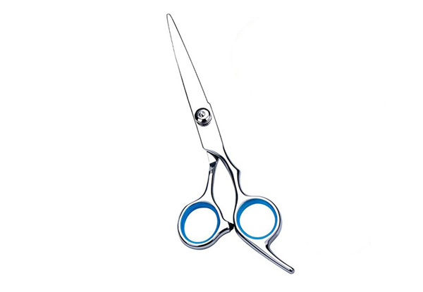 Six-Piece Hairdressing Scissor Set with Free Delivery