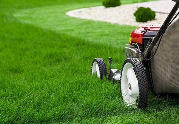 $179 for Four Hours of Gardening Services incl. 100kg of Green Waste Removal (value up to $350)