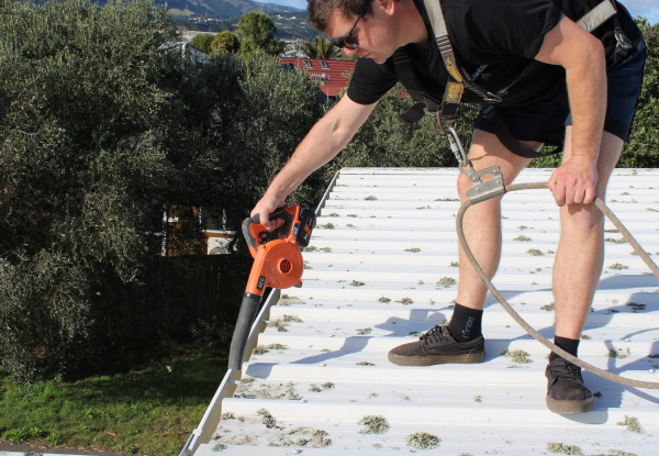 Roof Restore Treatment incl. Gutter Clear-Out & Roof Health Report - Options for Up to 400m2