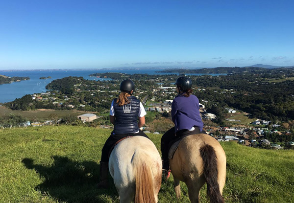 Exclusive One-Hour Horse Trek Experience in Waiheke for One Person