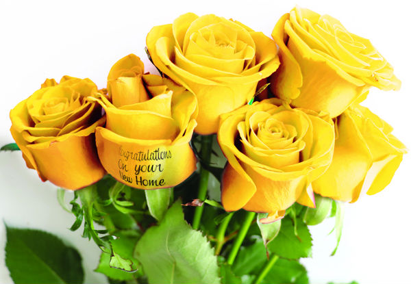 Six or Twelve Celebration Bouquet of Roses with any Custom or Standard Printed Message on One or Two Roses incl. Free Auckland Delivery - Choose from Four Different Colours