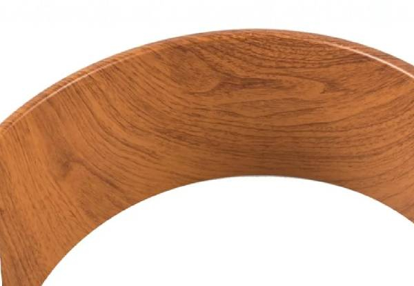 Yoga Cork Wheel