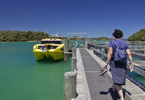 Discover the Bay - Hole in the Rock Cruise incl. BBQ Lunch & Island Stop-Over with Options for Child or Two Adults