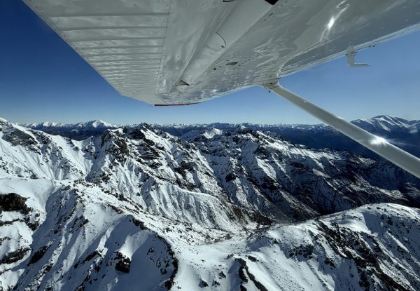 20% Off Adult Fares on a 30-Minute Whale Watch Flight - Option for Private Hire for up to Seven Passengers