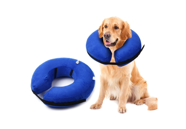 Inflatable Dog Collar - Five Sizes Available