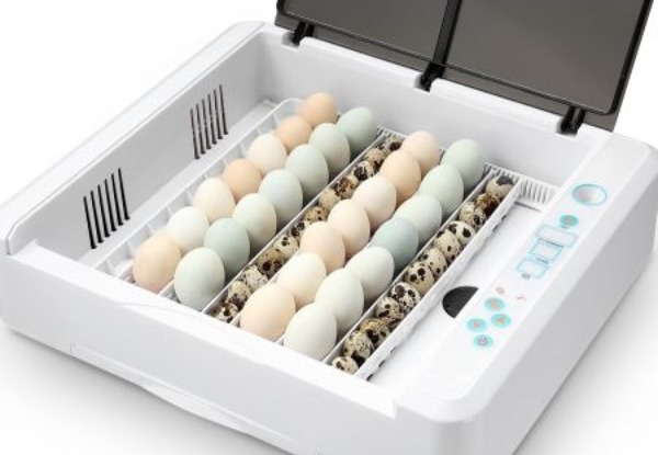 36-120 Eggs Digital Fully Automated Incubator