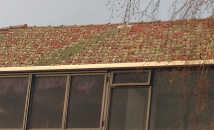 Two-Bedroom House Roof & Moss Removal Treatment - Options for Three-Bedroom & Four-Bedroom House to 200m2
