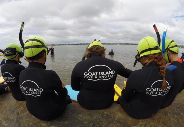 $38 for a PADI Guided Snorkel Experience or $99 for a Half-Day PADI 'Try Dive' Scuba Experience at Goat Island Marine Reserve - Valid Mon - Thurs - Options for Two People