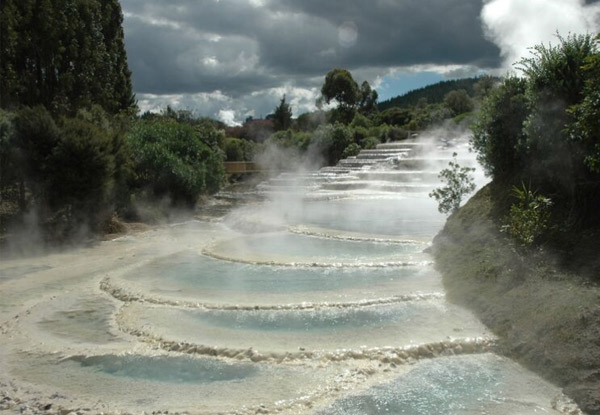 Adult Wairakei Terraces Walkway Entry - Option for Child or Family Available