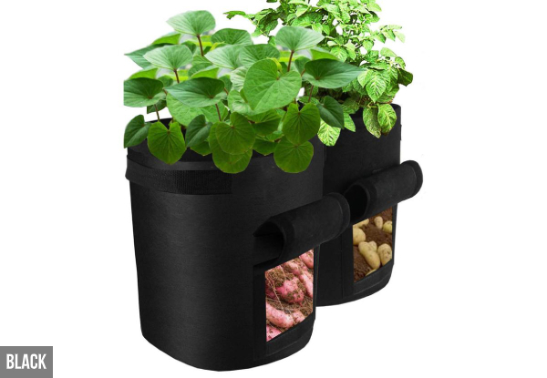 Water-Resistant Potato Planter Bag - Three Colours Available & Option for Three