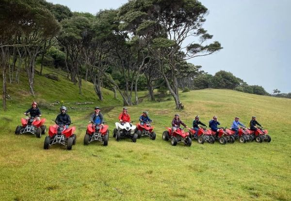 One-Hour 'Trail Blazer Safari' Quad Bike Adventure for One Person - Options for up to Four People