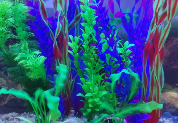 Ten-Piece Aquarium Plastic Seaweed Simulation
