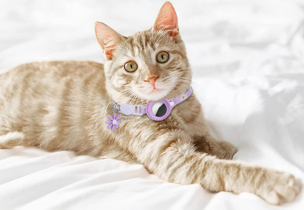 Cat Collar Compatible with AirTag - Available in Four Colours & Option for Two-Pack