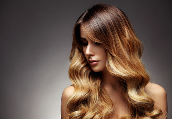 Global Colour Hair Package incl. Style Cut & Conditioning Treatment - Option for Balayage or Half Head Highlights