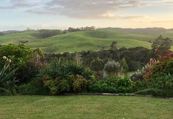 One-Hour Relaxation Massage in the Bay of Islands - Option for 90 Minutes