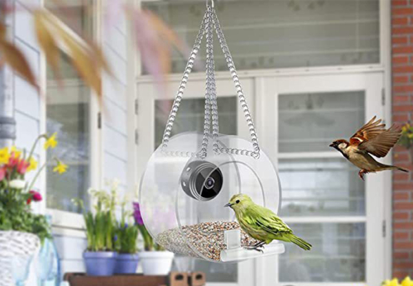 Smart WiFi Bird Feeder with Camera - Option for Two