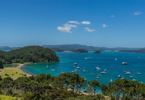 Three-Night Bay of Islands Getaway for One Person incl. All Transport, Guides, Camping Accommodation, Breakfast, Dinner & More