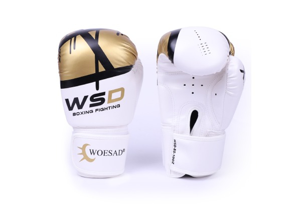 Boxing Gloves - Four Colours & Five Sizes Available