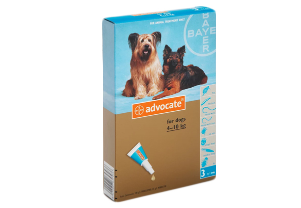 12 Tubes of Advocate Flea Treatment for Cats & Dogs incl. Urban Delivery