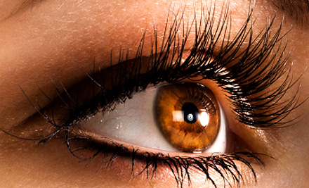 $39 for an Eyebrow Shape, Eyebrow & Lash Tint with a Head & Neck Massage (value up to $84)