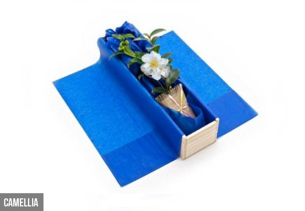 Mother's Day Designer Tree Gift Box with Personalised Card - Option to incl. Love Heart Cookies - Option for Camellia, Lime Tree or Air Plants & Stands Set