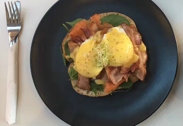 Any Two Breakfast or Lunch Meals at Fresh Cafe in Whangarei CBD - Option for Four People