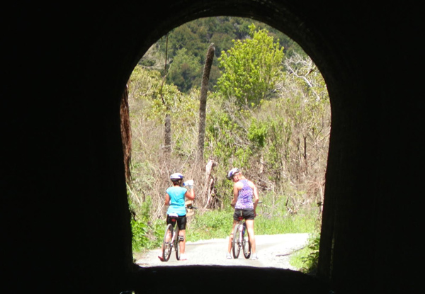 One Adult Cycle Trail Tour Around the Bay of Islands incl. Bike Hire, Helmet Hire & Transport - Option for a Child