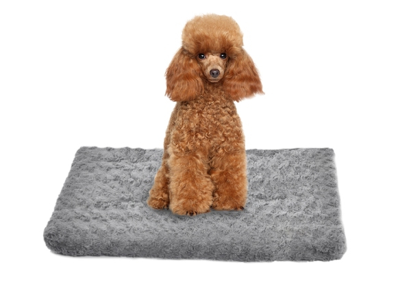 Velvet Pet Bed - Three Sizes Available