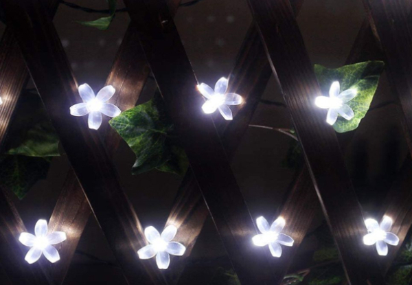 Sakura Flower Solar String Light - Three Colours & Three Sizes Available