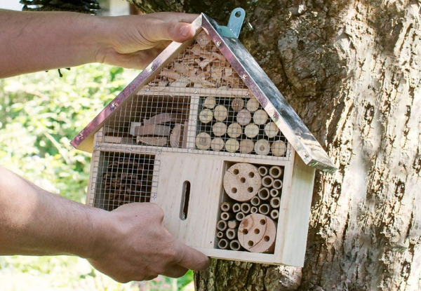 Wooden Insect House