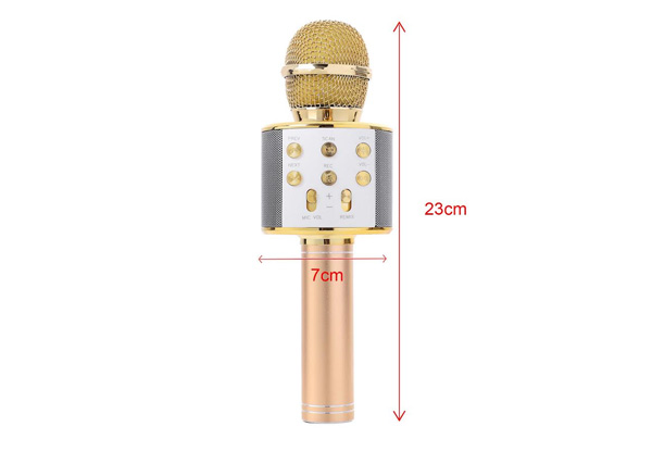 Bluetooth Karaoke Microphone