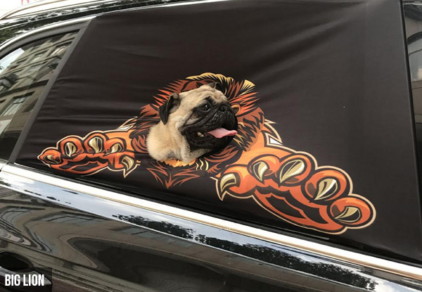 Dog Car Window Cover with Free Delivery - Five Styles Available