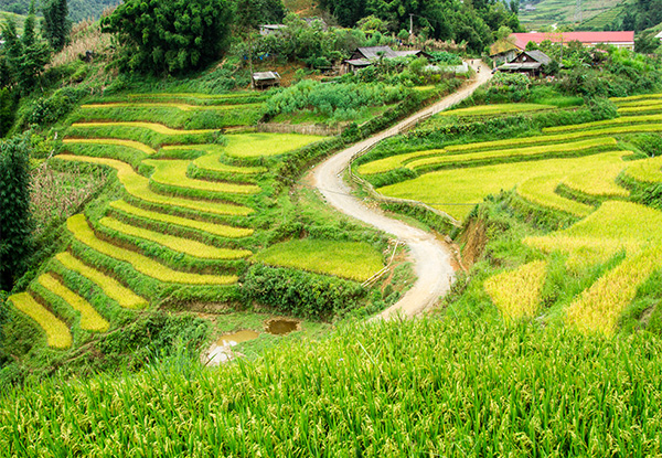 Per-Person, Twin/Triple-Share 10-Day Vietnam Tour incl. Accommodation, Domestic Transport, Entrance Fees, Meals & More - Option for Solo Traveller