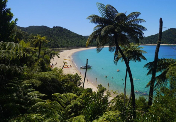 Per-Person Twin-Share Two-Day Springtime Special - Abel Tasman National Park Self Guided Walk incl. Transport, Accommodation, Lunch, Water Taxi & More - Option for Solo Traveller