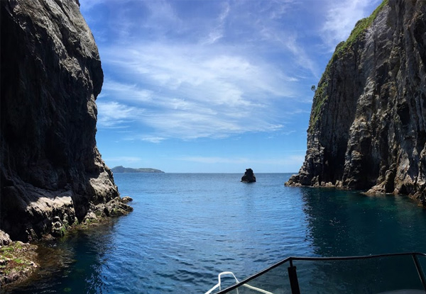 Full-Day Island Explorer Boat Trip for One Adult incl. Lunch & Activities - Options for Two Adults, Children or Family Pass