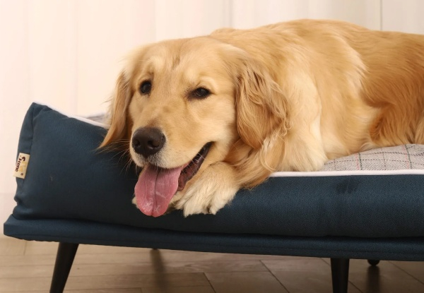 Pet Scene Large Raised Cushioned Pet Bed with Removable Cover - Two Styles Available