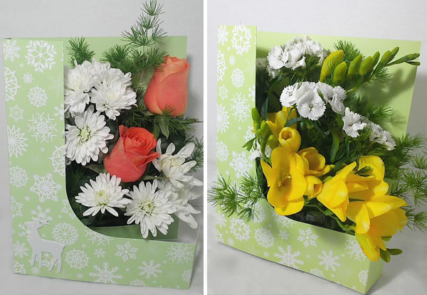 $19.95 for a Fresh Living Flower Card incl. Nationwide Delivery (value up to $49.90)